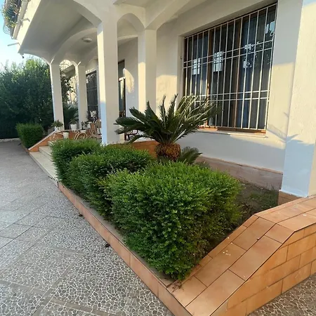 Palmas *